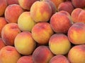 A lot of peaches