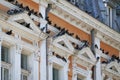 Pigeons resting on historic building