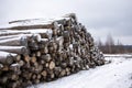 Lot pine logs stacked in long pile in rustic place in winter season under gray cloudy sky side view