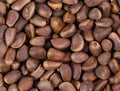 Lot of pine nuts. Close up. Royalty Free Stock Photo
