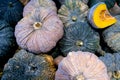 A lot of pumpkin at outdoor farmers market.Recently harvested pumpkins in a random pile. Royalty Free Stock Photo