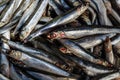 Lot of raw fresh anchovies fishes. Top view. Sea food background theme. Hamsi. Royalty Free Stock Photo