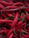 A lot of red big chillies Royalty Free Stock Photo