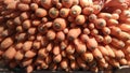 It is a lot of red carrots. Royalty Free Stock Photo