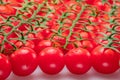 Lot of red cherry tomato branches covered with small water drops. Food background Royalty Free Stock Photo