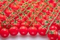 Lot of red cherry tomato branches covered with small water drops. Food background Royalty Free Stock Photo