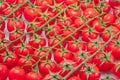 Lot of red cherry tomato branches covered with small water drops Food background. Top view Royalty Free Stock Photo