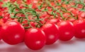 Lot of red cherry tomato branches covered with small water drops isolated on white background