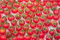 Lot of red cherry tomato branches covered with small water drops. Top view. Food background Royalty Free Stock Photo