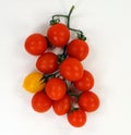 A lot of red cherry tomatoes on a branch and one yellow one isolated on white. Juicy ripe appetizing cherry tomatoes. Royalty Free Stock Photo