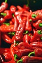 Lot of red chilli peppers, background Royalty Free Stock Photo