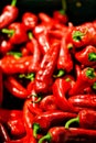 Lot of red chilli peppers, background Royalty Free Stock Photo