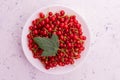 A lot of red currant berries in a plate on a white background. Top view. Royalty Free Stock Photo