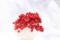 Red currant bowl, focus on foreground