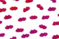 A lot of red and pink hearts on white background. Royalty Free Stock Photo