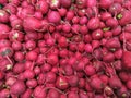 A lot of red ripe radish, top view.