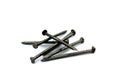 A pile of iron nails lie on a white background Royalty Free Stock Photo