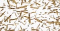A lot of rifle bullets floating at zero gravity over white background. Royalty Free Stock Photo