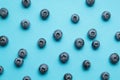 A lot of ripe blueberries on a blue background, horizontally Royalty Free Stock Photo