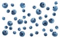 A lot of ripe blueberries on a white background Royalty Free Stock Photo