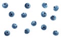 A lot of ripe blueberries on a white background Royalty Free Stock Photo