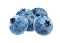 A lot of ripe blueberries on a white background Royalty Free Stock Photo