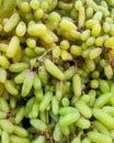 Lot of ripe green grapes. Nature, sweet. Royalty Free Stock Photo