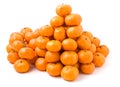 Lot of ripe mandarin oranges