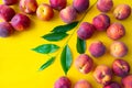 A lot of ripe peaches laid out on the edge of a yellow background and a green branch