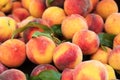 Lot of ripe peaches. Royalty Free Stock Photo