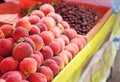 Lot of ripe peaches. Royalty Free Stock Photo