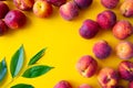 A lot of ripe peaches scattered around the edge of a yellow background and green leaves