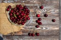 A lot of ripe red cherries on twigs lie in a glass plate on a dark blue wooden table with a striped texture Royalty Free Stock Photo