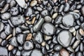 Lot of round grey wet stones on a pebble beach with reflection