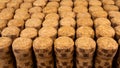 A lot of rows different wooden champagne or wine corks from cork tree. Use as pattern or background. Selective focus. Foreground