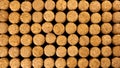 A lot of rows different wooden champagne or wine corks from cork tree. Use as pattern or background. Top view. Flat lay. Close-up Royalty Free Stock Photo