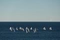 A lot of sail boats and yachts in the sea went on a sailing trip near port Hercules in Monaco, Monte Carlo, sail regatta