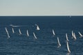 A lot of sail boats and yachts in the sea went on a sailing trip near port Hercules in Monaco, Monte Carlo, sail regatta