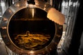 Sea snake inside a glass chamber showing in a walkway