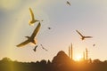 A lot of seagulls are flying over Istanbul minarets and mosques silhouettes. Royalty Free Stock Photo