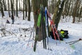 a lot of skis stand by the tree