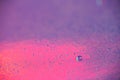 A lot of small drops of water on a colorful pastel holographic purple and pink background