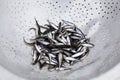 A lot of small fish in a metal sieve Royalty Free Stock Photo