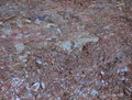 Lot of small multi-colored stones as a background, variegated stones