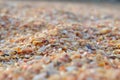A lot of small sea shells on the sea shore. Royalty Free Stock Photo