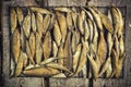 A lot of small stockfish on a wood background.