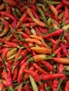 A lot of spicy chillies Royalty Free Stock Photo