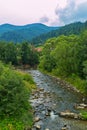 A lot of stones lying in a shallow river impede its flow