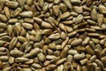 Close up view of sunflower seeds background. Royalty Free Stock Photo