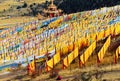 A lot of Tibetan prayer flags flying wiht Mandala on the hillside